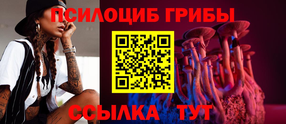 Галлюциногенные грибы Magic Shrooms  Галлюциногенные грибы прущие грибы  Гудермес  где купить наркоту  Вход с VPN 