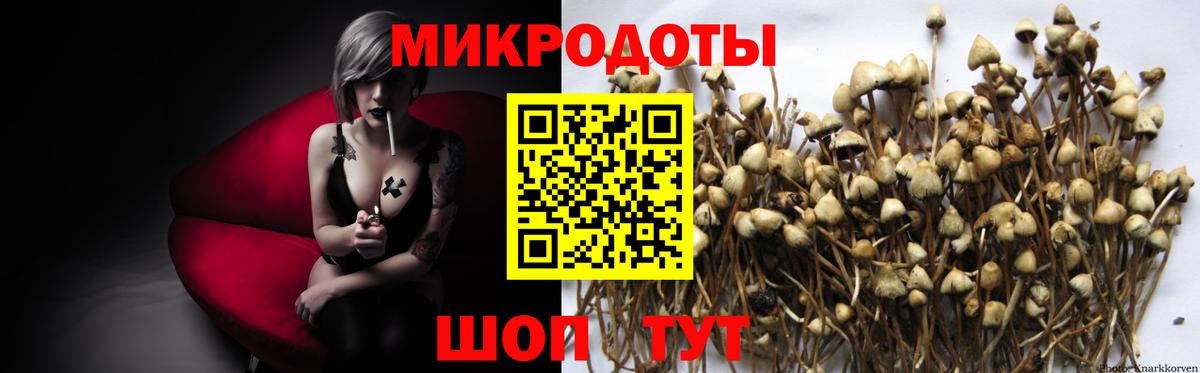 Галлюциногенные грибы мухоморы Гудермес